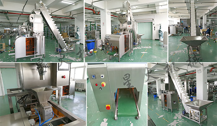 全自动单工位颗粒定量包装机与包装辅助设备的协同应用